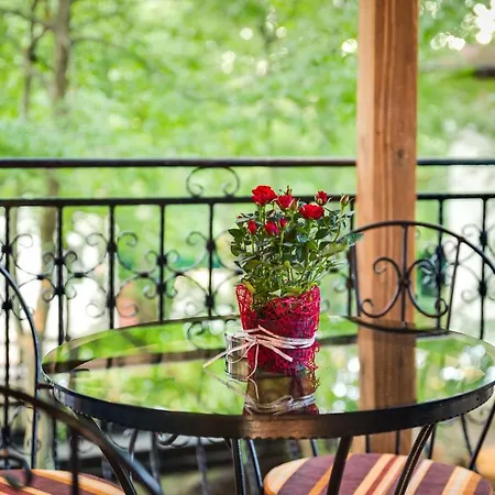 Villa Blaguna Eco Complex *